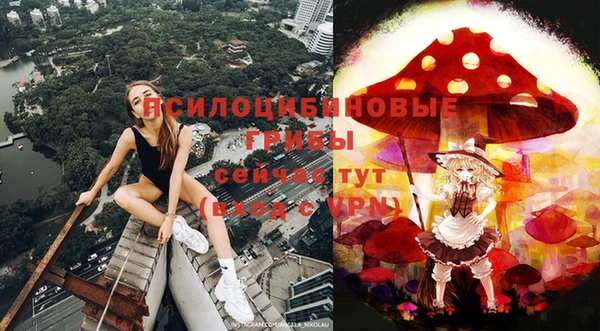 меф VHQ Дмитриев