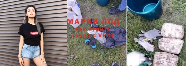 ПСИЛОЦИБИНОВЫЕ ГРИБЫ Дмитров