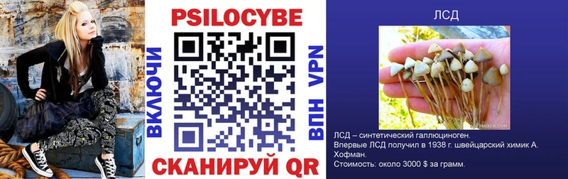 Псилоцибиновые грибы Cubensis  Знаменск 